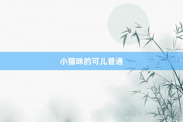 小猫咪的可儿普通