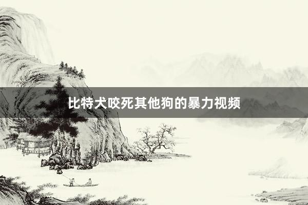 比特犬咬死其他狗的暴力视频